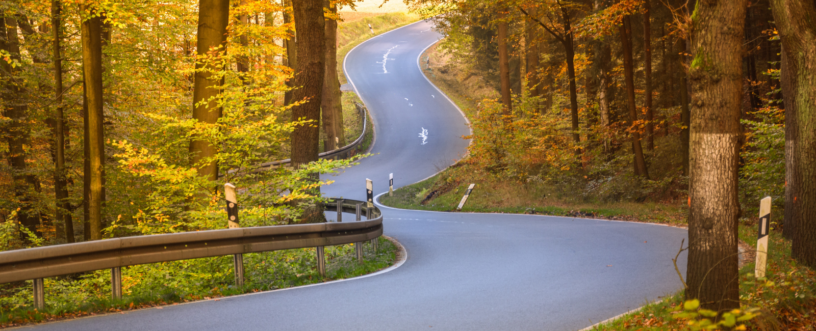 Winding road with trees